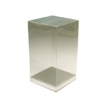 Clear Boxes with Silver Bottom