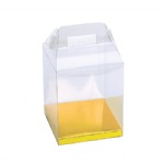 Clear Plastic Totes with Gold Bottom