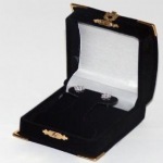 Velour Treasure Chest T-Earring Box