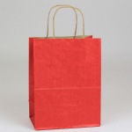 Medium Natural Tint with Shadow Stripe Bags