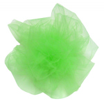Lime Tulle Ribbon