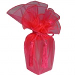 Hot Pink Sheer Wrapper w/ Tassel