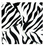 Zebra Stripes Gift Card Folder