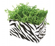 Basket Box Collection