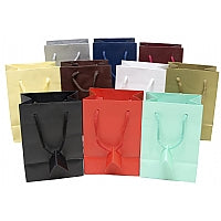 Merchandise/Shopping Bags