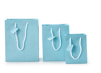 Small Matte Laminated Tote Bag