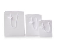 Small Matte Laminated Tote Bag