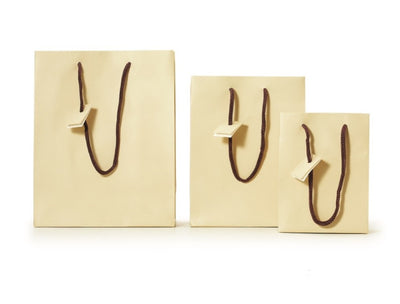 Small Matte Laminated Tote Bag