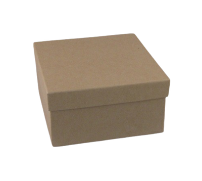 Kraft Paper Cotton Filled Boxes (x100)