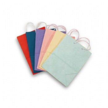 Assorted Large Shopping Bags