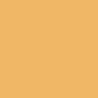 Tangerine Color-Flo Tissue Paper