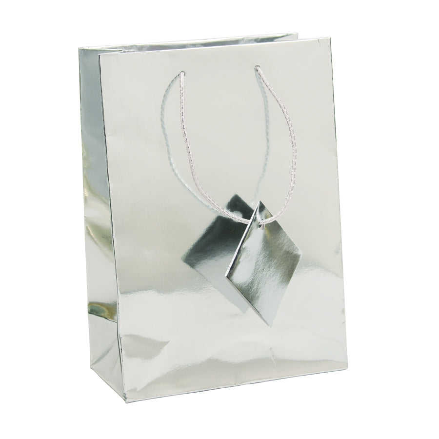 X- Large Metallic Silver Bag