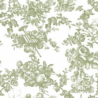 A sheet of sage green and white floral toile printed tissue paper.