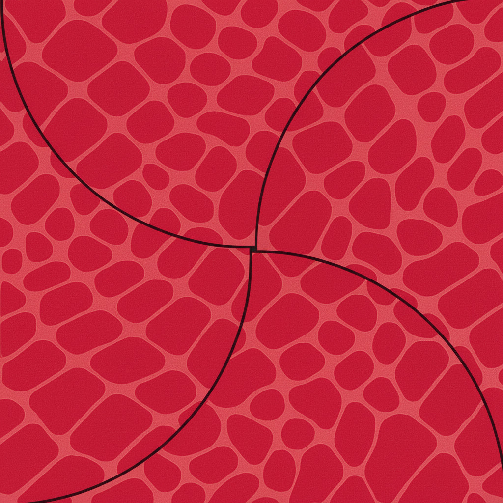 Red Croc Gift Card Folder