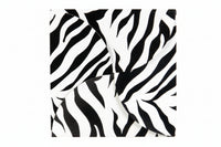 Zebra Stripes Gift Card Folder