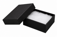 Black jewelry box with a white interior on a white background