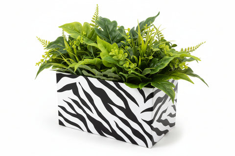 Gift, Retail, and Novelty Boxes