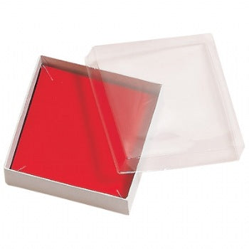See-Thru Plastic Lid Boxes (x100)