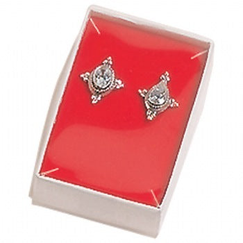 See-Thru Plastic Lid Boxes (x100)