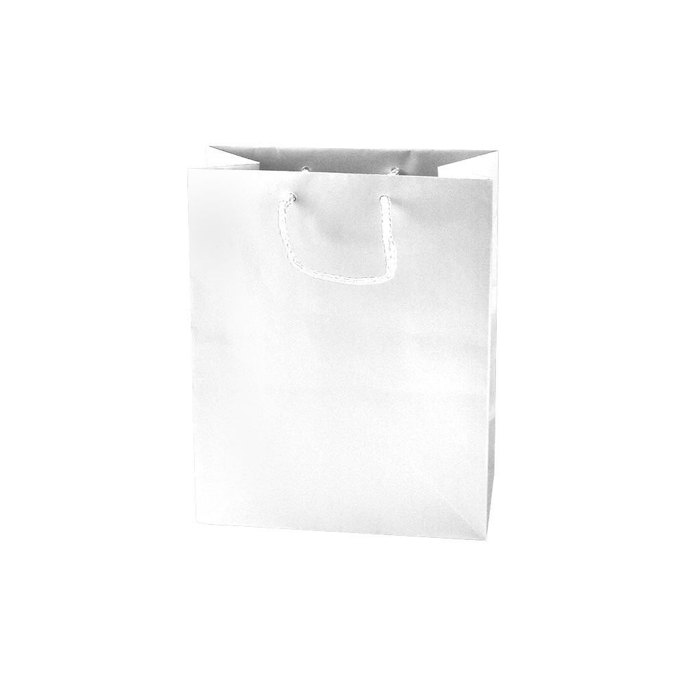White Gloss 8" x 4" x 10"