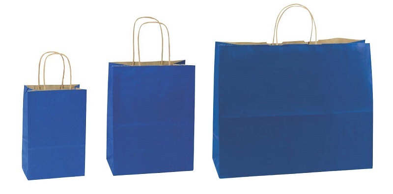 Medium Pacific Blue Natural Smooth Paper Bags