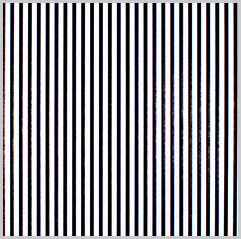 Black Stripes on White Tissue Paper 