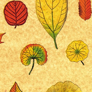 Falling Leaves Printed Tissue Paper