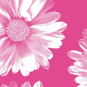 Big Flower Pink Tissue Paper