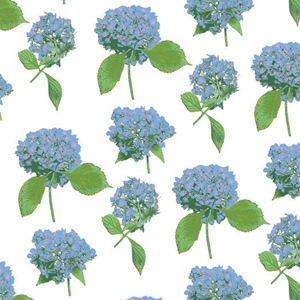 Hydrangeas Print Tissue Paper