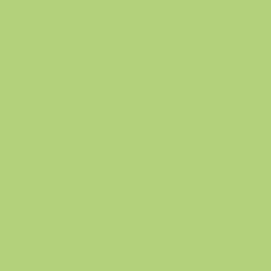 Bright Lime Color-Flo Tissue Paper