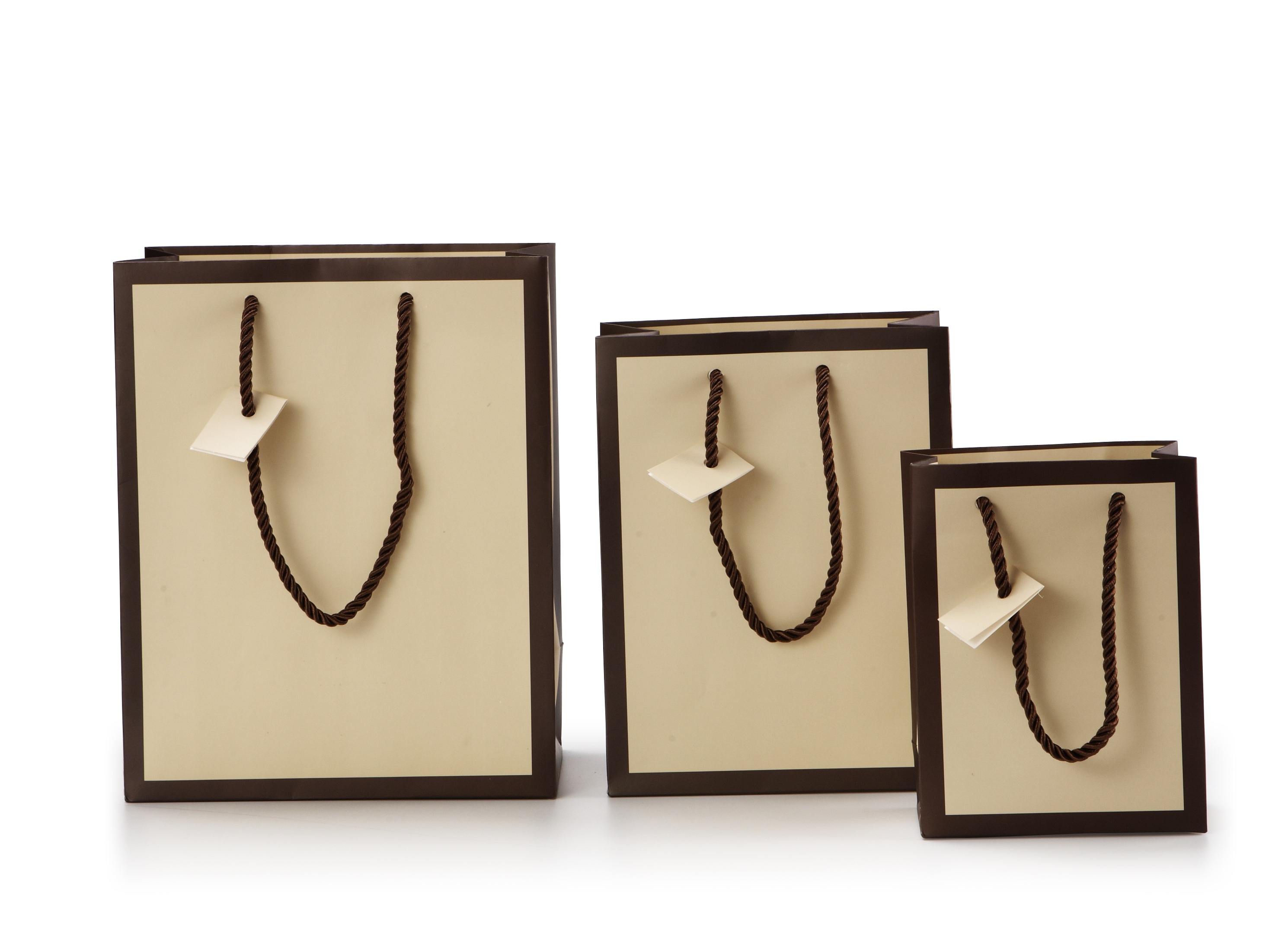 Beige w/ Border Laminated Tote Bags