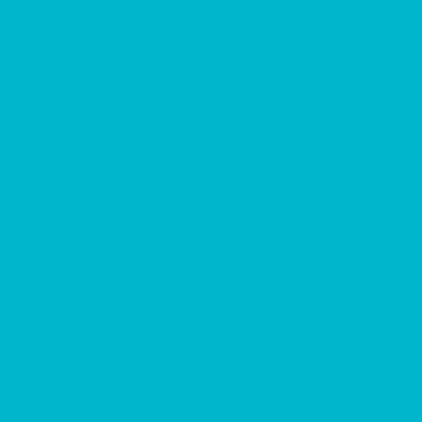 Solid Color Wrapping Paper 