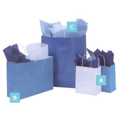Metallic/High Gloss <br>Bag (C) (x250)  	   	         