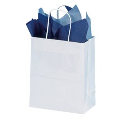 White Colored Bag (x250)