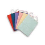 Assorted Large Shopping Bags