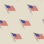 "U.S Flag" Printed Tissue Paper