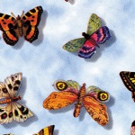Butterflies Printed Tissue Paper