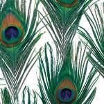 Peacock Print Tissue Paper