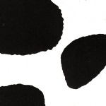 Black Cow Print Tissue Paper