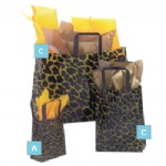 Leopard Bag (A) (x250)