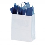 White Colored Bag (x250)