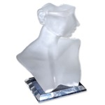Frosted Acrylic Neck Stands