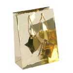 Metallic Gold Bags