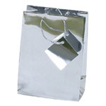 Metallic Silver Bags
