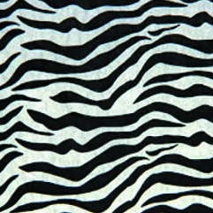 Zebra Print Tissue Paper             