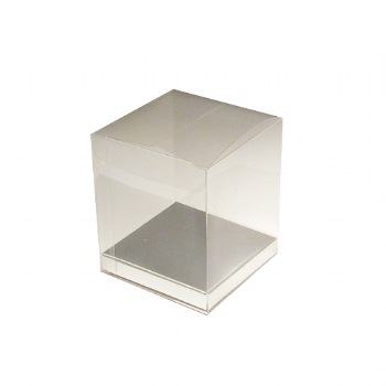 Clear Boxes with Silver Bottom