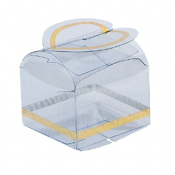 Clear Plastic Totes with Butterfly Clasp