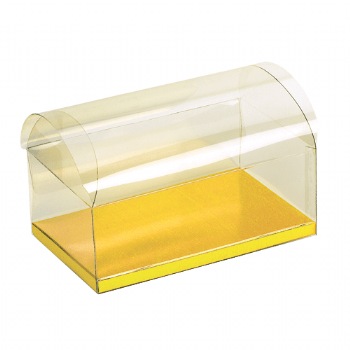 Clear Plastic Chest with Gold Bottom