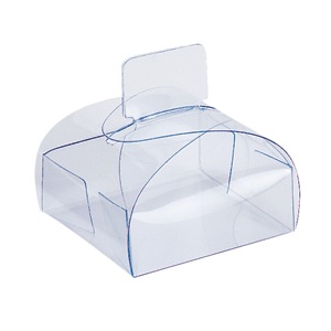 Clear Plastic Box with Tab Clasp
